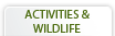 Activities